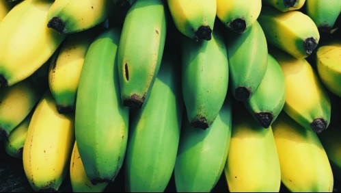 Un plátano verde al día podría ayudar a evitar distintos tipos de cáncer, según un nuevo estudio
