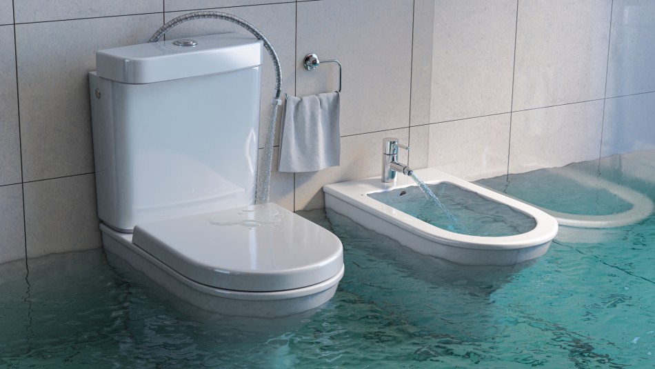 como-destapar-el-bano como destapar el baño