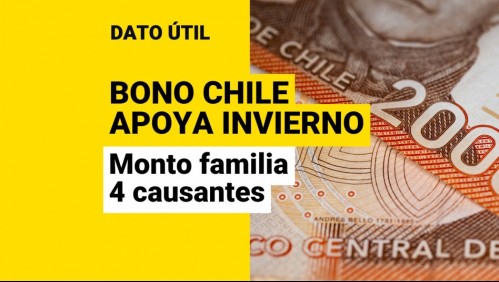 Bono Chile Apoya Invierno: ¿Qué monto reciben las familias de 4 causantes?