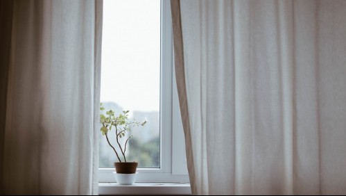 Así es cómo puedes quitar las manchas por hongos de tus cortinas