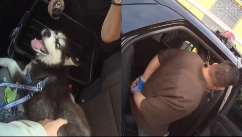 'Él no podía respirar': Hombre encierra a su perro en auto estacionado bajo 45° de calor y se va a apostar a un casino