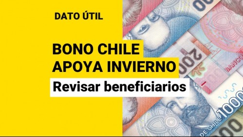 Pago del Bono Chile Apoya Invierno: ¿Dónde tendré que revisar si obtuve el beneficio?