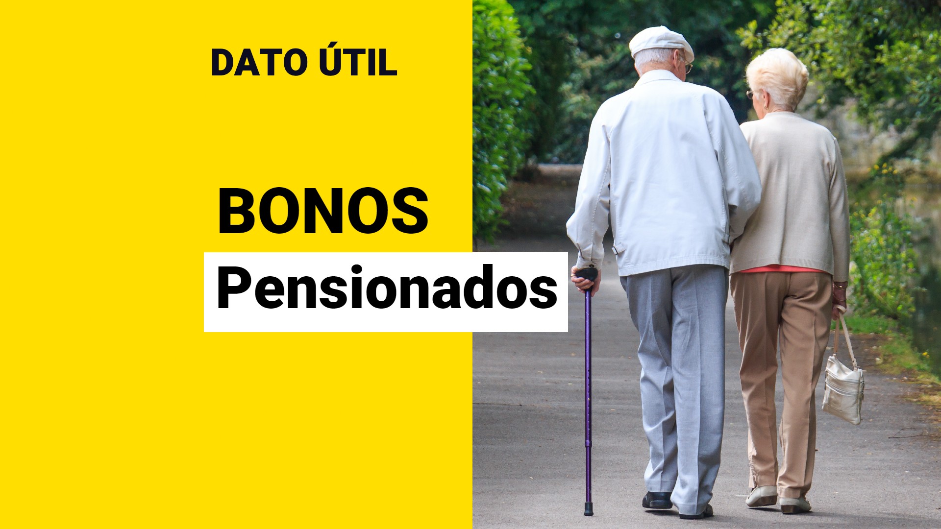 Bonos Para Pensionados: ¿Qué Pagos Se Reciben En Agosto? - Meganoticias