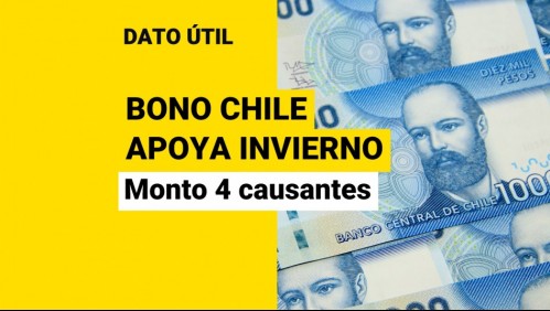 Bono Chile Apoya Invierno: Este es el monto que reciben las familias de 4 causantes