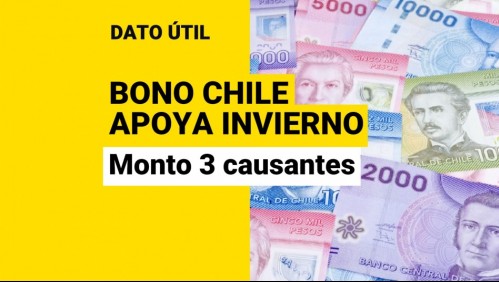 Bono Chile Apoya Invierno: ¿Cuánto dinero reciben las familias de 3 causantes?