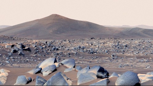 Según la NASA: Esta es la fecha en que los humanos podrían ver las piedras de Marte
