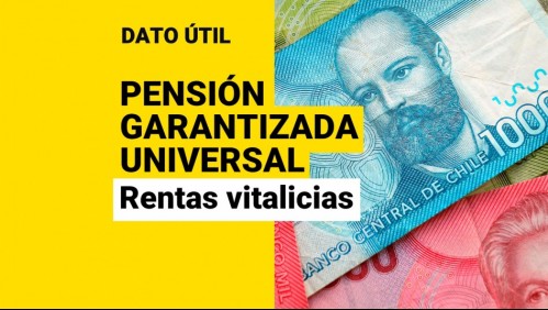 Nuevos requisitos de la PGU: ¿Pueden postular los pensionados de rentas vitalicias?