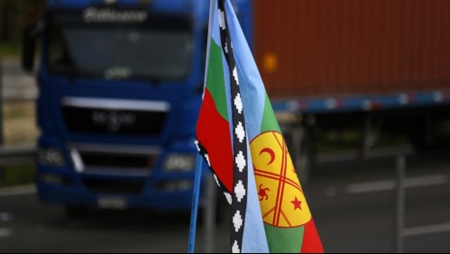 Encuesta CEP: El 59% de los mapuche cree que nunca se justifica el uso de la fuerza para reclamar tierras