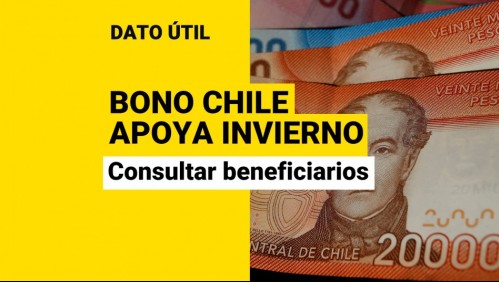Bono Chile Apoya Invierno: Así podrás consultar si eres beneficiario de los $120 mil