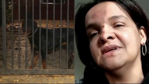 'Yo daba gritos despavoridos': Cuidadora de niña de 5 años atacada por perros cuenta los momentos de terror que vivieron