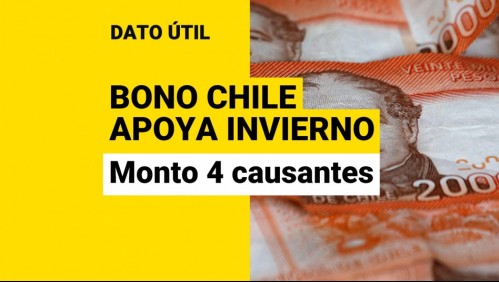 Bono Chile Apoya Invierno: Revisa el monto para familias de 4 causantes