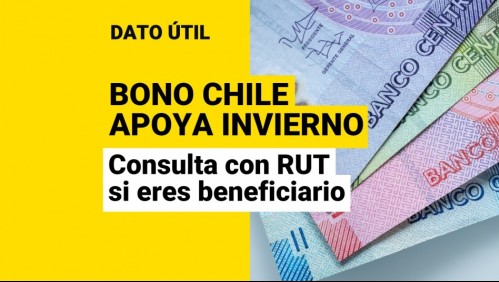 Inicia pago del Bono Chile Apoya Invierno: Habilitan sitio web para consultar si recibes los $120 mil