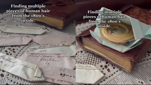 Compró un antiguo libro por Internet y quedó horrorizada con las cosas que encontró en su interior