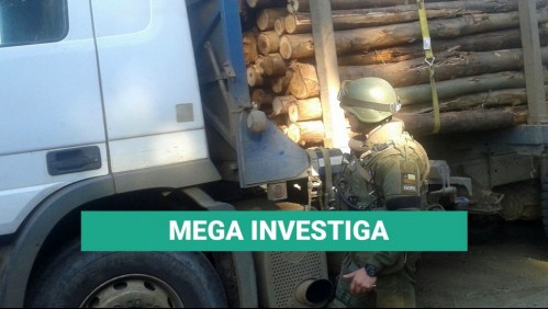 Robo de madera en la macrozona: Carabineros registra 4.200 casos  en cinco años
