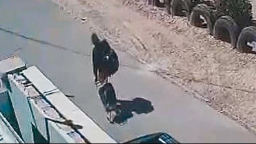 Drogaba a los jefes para robar casas: así operaba una falsa asesora de hogar que es buscada por la PDI