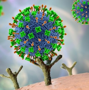 Virus Langya: Estos son los síntomas del nuevo virus detectado en humanos en China Virus Langya: Estos son los síntomas del nuevo virus detectado en humanos en China