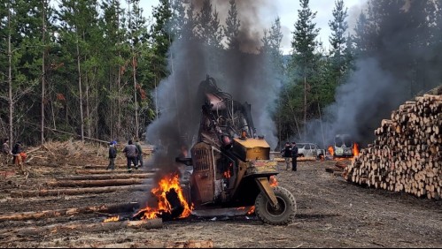 Ataque incendiario afecta a diez equipos forestales en predio de La Araucanía