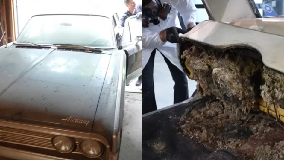 Un youtuber hizo un impactante hallazgo cuando limpiaba el vehículo de una fallecida celebridad estadounidense.