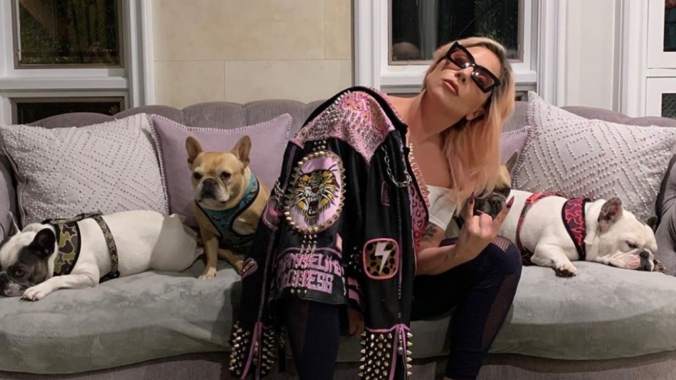 Condenan a segundo acusado de secuestrar a perros de Lady Gaga: Pasará seis años en la cárcel Condenan a segundo acusado de secuestrar a perros de Lady Gaga: Pasará seis años en la cárcel