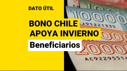 Bono Chile Apoya Invierno: Revisa con tu RUT si te corresponde