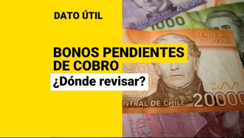 Bonos por cobrar: Consulta con el RUT algunos beneficios pendientes