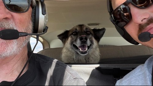 Perrita regresó con su familia después de haber sido robada hace cinco años