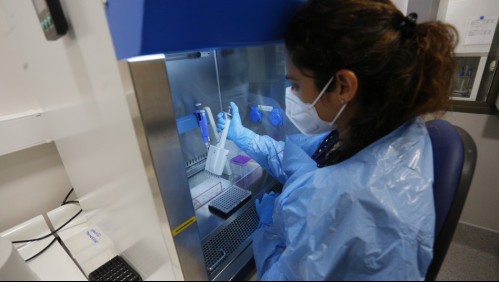 Aumentan casos de viruela del mono: Ministerio de Salud confirma 189 contagios en Chile