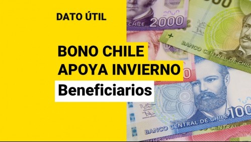 Bono Chile Apoya Invierno: Consulta con tu RUT si te corresponde