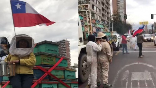 'Se están muriendo las abejas': apicultores protagonizan protesta por Santiago con camiones, banderas y colmenas