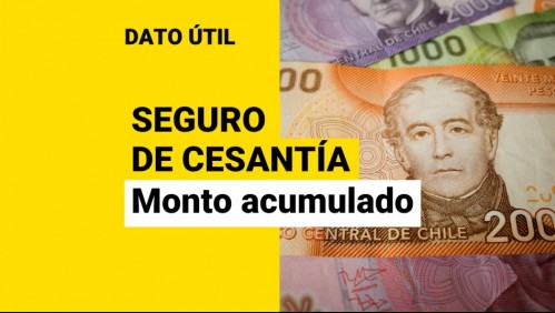 Seguro de Cesantía: ¿Cómo puedo saber cuánto dinero tengo acumulado?