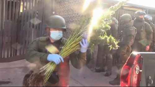 'La Mami' de la droga: Mujer de 71 años lideraba clan familiar dedicado al narcotráfico en La Pintana