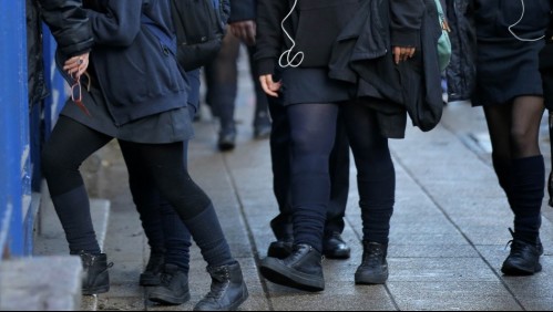 'No voy a permitir que mi hija esté como una rata asustada': apoderada aclara día de furia con agresión a inspector