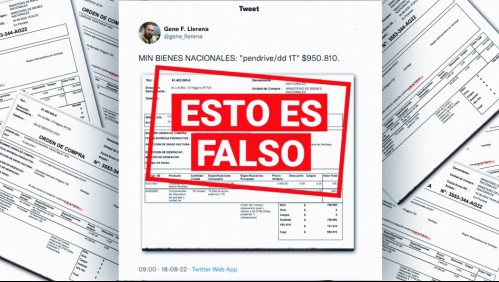 Es falso que Bienes Nacionales haya gastado $950 mil en un pendrive y un disco duro