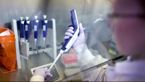 Gripe del tomate: ¿Qué es esta enfermedad que ha afectado a niños en India y de la cual aún no existe fármaco?