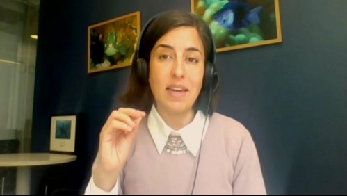 Oceana Chile y seis meses de Ley de Plásticos de un solo uso: 'La denuncia es muy sencilla de hacer'