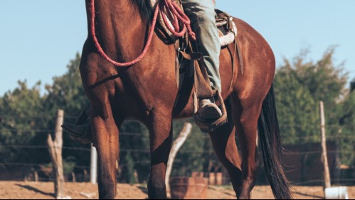 Hombre muere tras ser baleado en ambas piernas: pidió ayuda montado a caballo