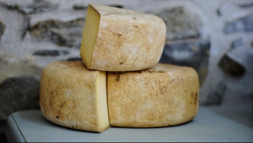 También es ilegal venderlo: Este es el Casu Marzu, el queso 'más peligroso' de todo el mundo