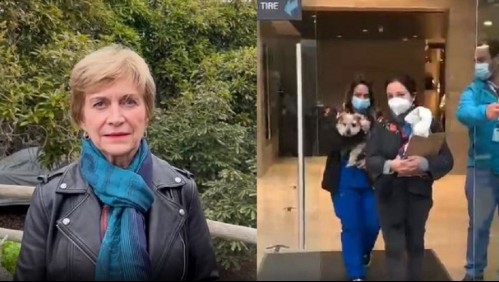 Alcaldesa Matthei por maltrato animal en Providencia: 'Quiero pedirle a todo el mundo que nos ayude a fiscalizar esto'