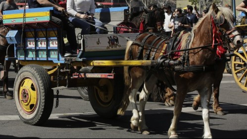 Dejan en libertad a conductor de carreta acusado de atropellar a ciclistas en la Alameda