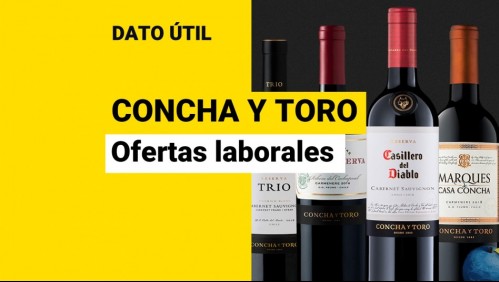 Viña Concha y Toro busca trabajadores: ¿Cuáles son las ofertas laborales?