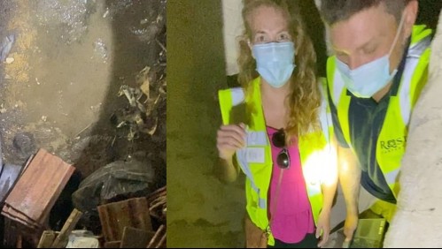 'Sumamente extraño': El terrorífico hallazgo que realizó un matrimonio en su casa al remodelarla