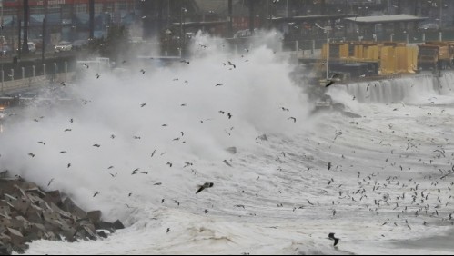 Armada anuncia marejadas desde Arica hasta el Golfo de Penas para esta semana