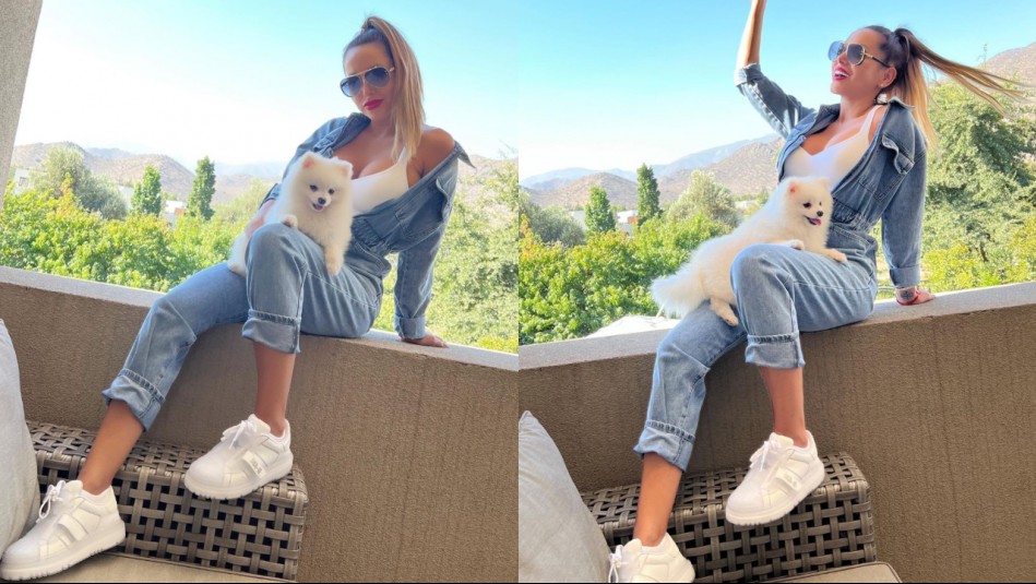 Un mensaje por Instagram y un jardinero: Las pistas que permitieron encontrar al perrito de Marité Matus y sus hijos Un mensaje por Instagram y un jardinero: Las pistas que permitieron encontrar al perrito de Marité Matus y sus hijos