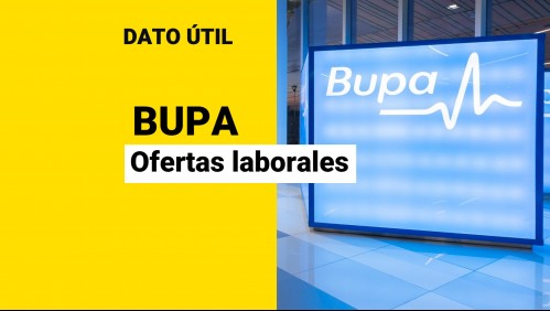 Bupa busca trabajadores: Conoce las ofertas laborales disponibles y cómo postular