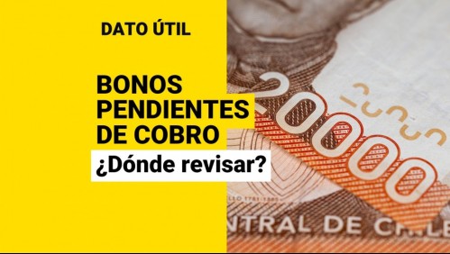 Bonos por cobrar: ¿Dónde consultar con RUT si tengo beneficios pendientes?