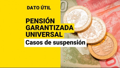 PGU: ¿Cuáles son los casos en que se suspenden los pagos de $193 mil?