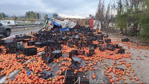 Accidente Ruta 5 Sur: 50 mil kilos de tomates quedaron desparramados tras volcamiento de camión