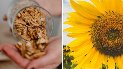 Estos son los alimentos que podrían disminuir el riesgo de padecer cáncer de mama, según investigación científica