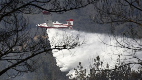 Onemi declaró Alerta Roja por incendio forestal en Tiltil: Afecta 40 hectáreas