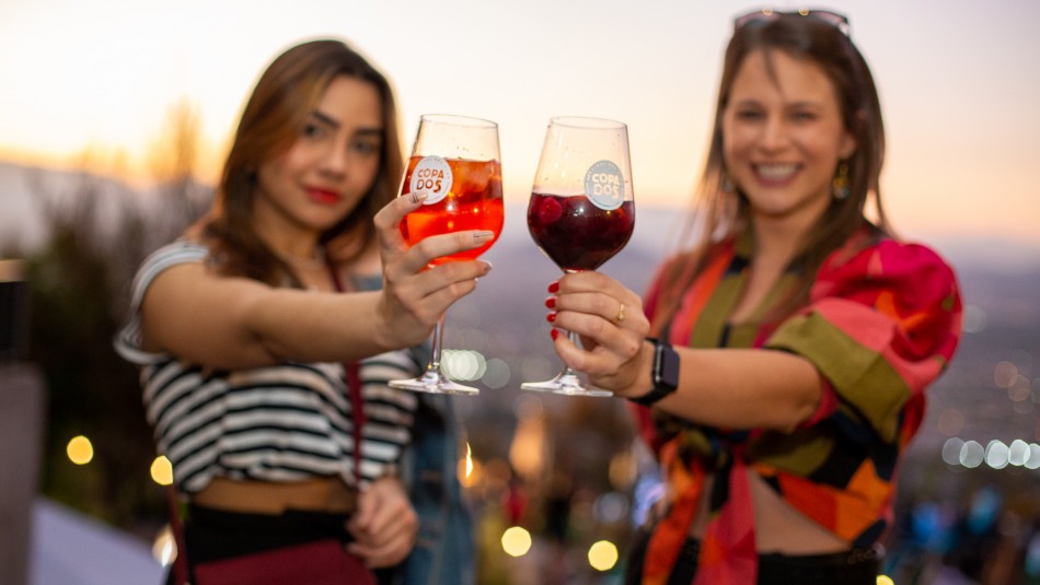 Festival de vino ofrecerá maridajes de 15 cepas presentes en Chile en los tres días por los que se extenderá el evento